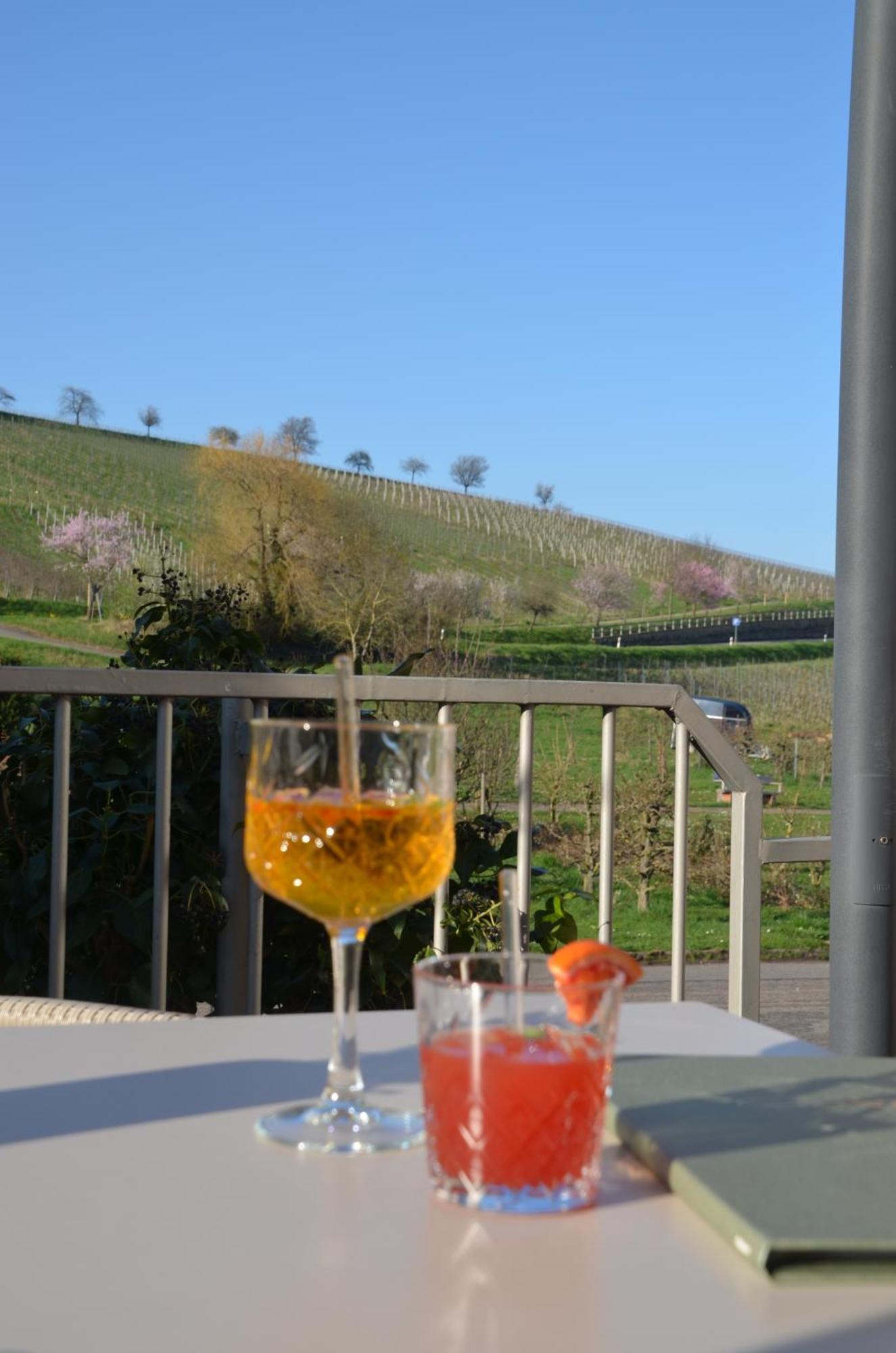 Castell Hotel&Restaurant Leinsweiler Esterno foto