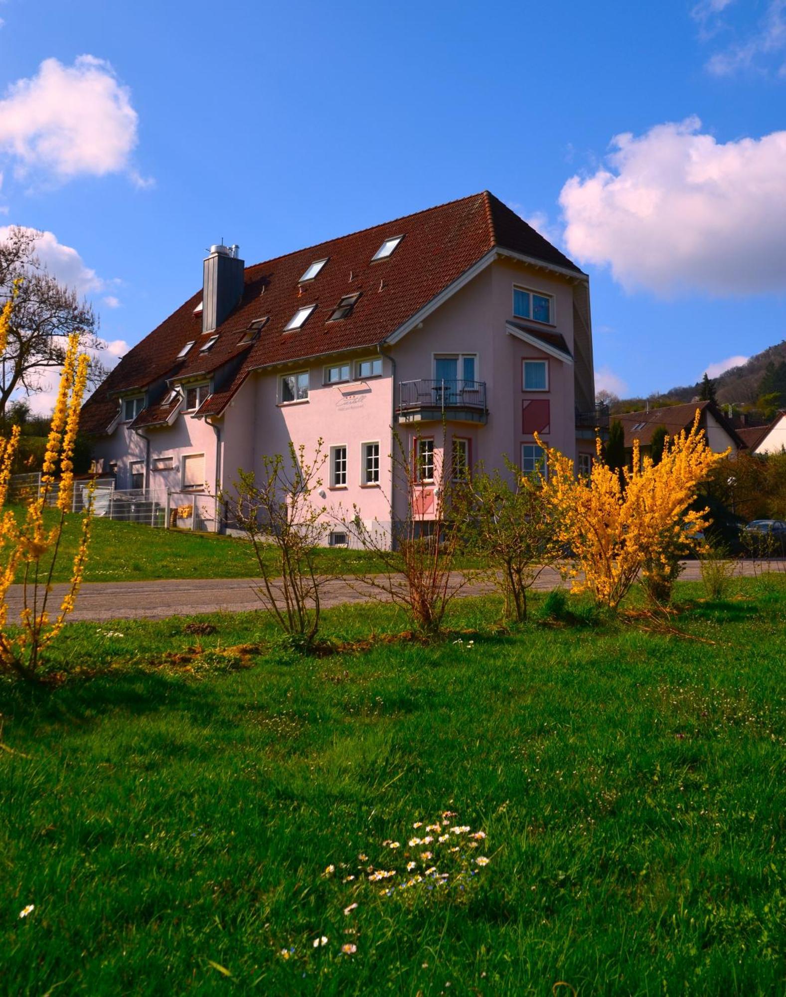Castell Hotel&Restaurant Leinsweiler Esterno foto